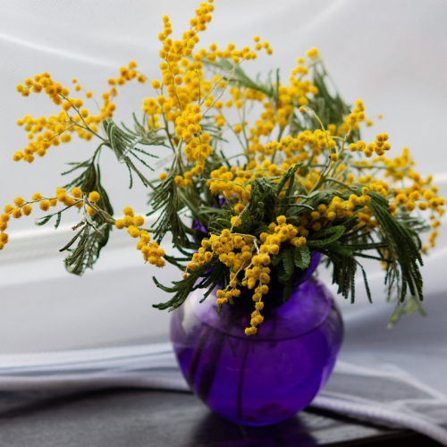 Sunshine Daisy Arrangement