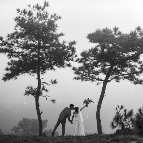Peony Bliss Arrangement